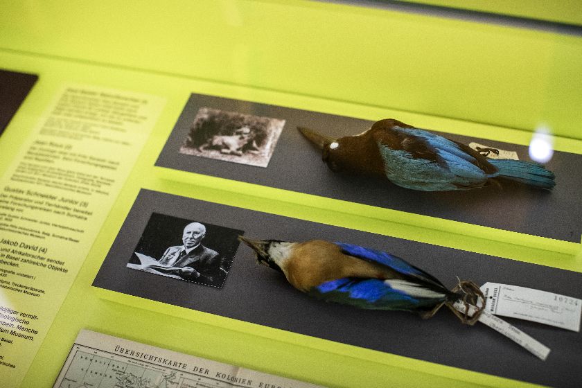 Sonderausstellung ‹200 Jahre Naturhistorisches Museum Basel› – {source?html}